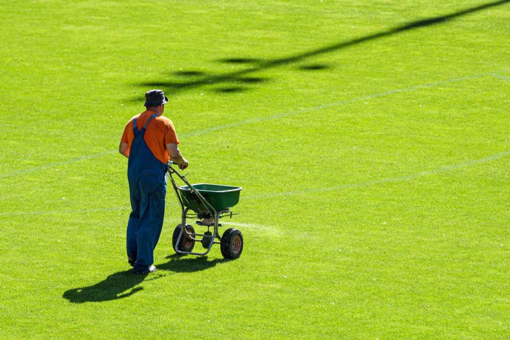 Football Field Maintenance — Turf in Louth Park, NSW