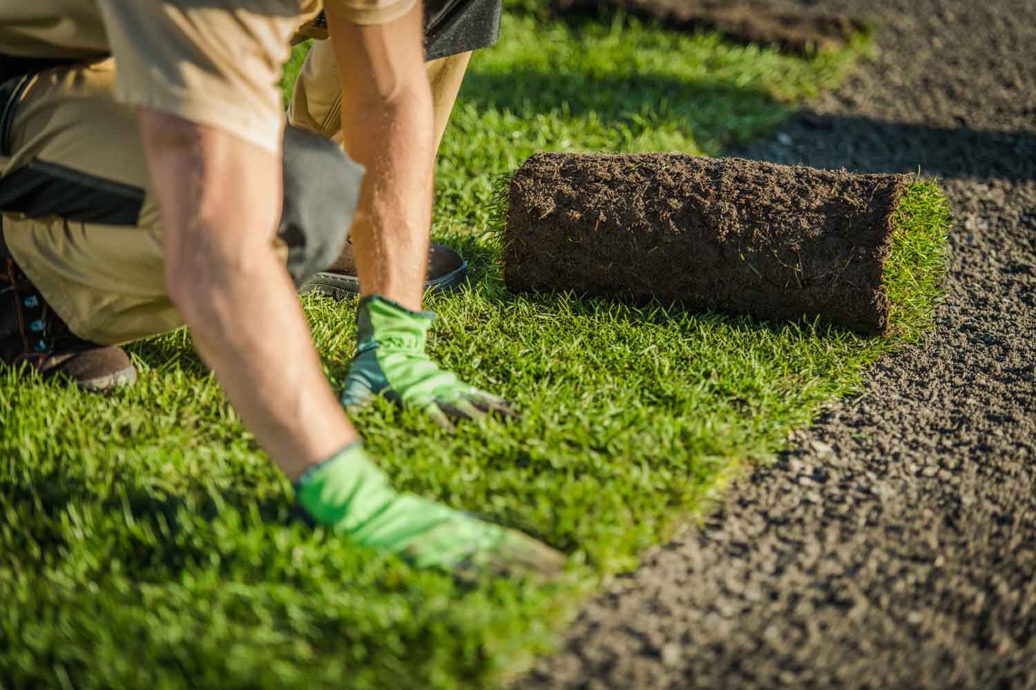 Landscaper Laying Grass Turf — Turf in Louth Park, NSW