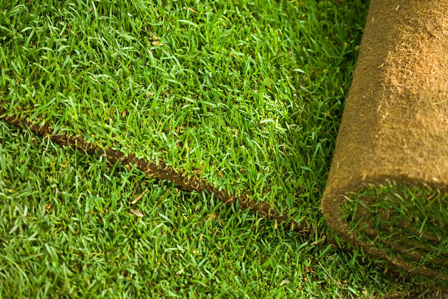 Green Turf Grass Roll — Turf in Louth Park, NSW